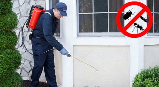 Hanak Böcek ve Haşere İlaçlama böcek ilaçlama ve haşere kontrolü — ilaclama-tr.com